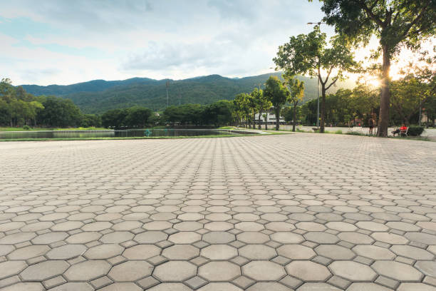 Best Concrete Paver Driveway  in Alvord, TX